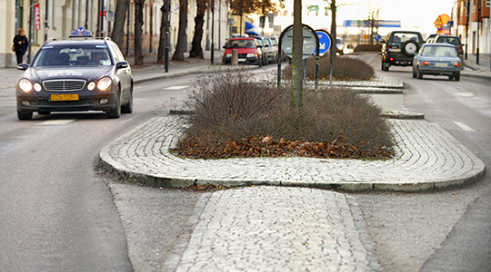 Nollvision för förtroendevalda, 2020