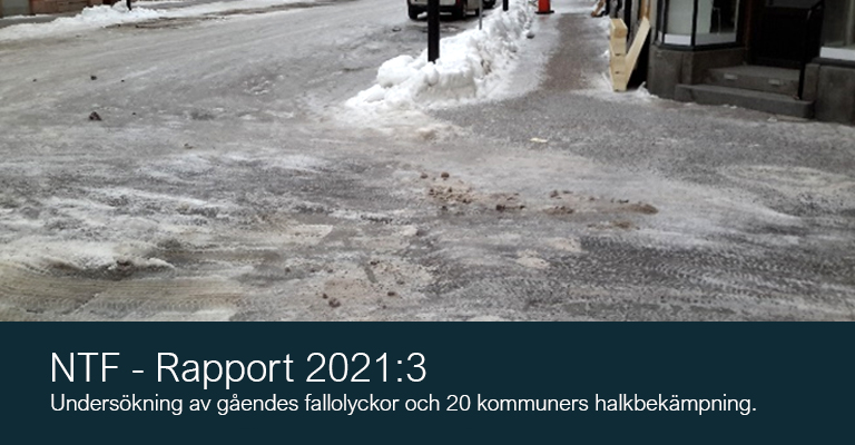 2021:3 Ingen ska falla